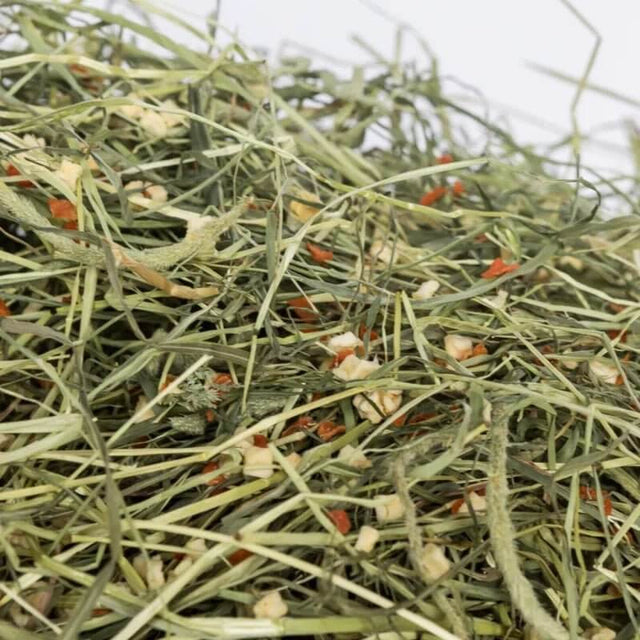 Close-up of Newhay Timothy Hay with Carrot and Apple, showcasing the fibrous texture and natural ingredients.