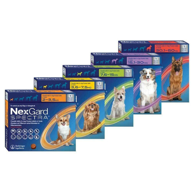 NexGard Spectra chewable treatment packs for dogs in various sizes for effective flea and tick prevention.