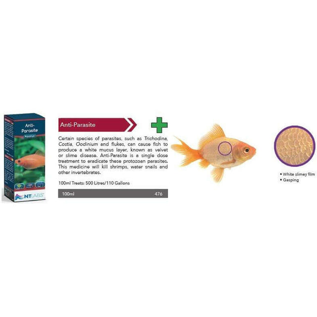 NT Labs Anti-Parasite product for treating Trichodina, Costia, and Oodinium in aquariums with an affected goldfish illustration.
