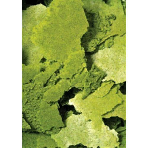 Ocean Nutrition Formula Two Flake - nutrient-rich green flakes for herbivorous marine and freshwater fish feeding.