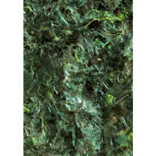 Ocean Nutrition Green Seaweed Algae for fish, rich in nutrients and vitamin C, ideal for herbivorous marine and freshwater species.