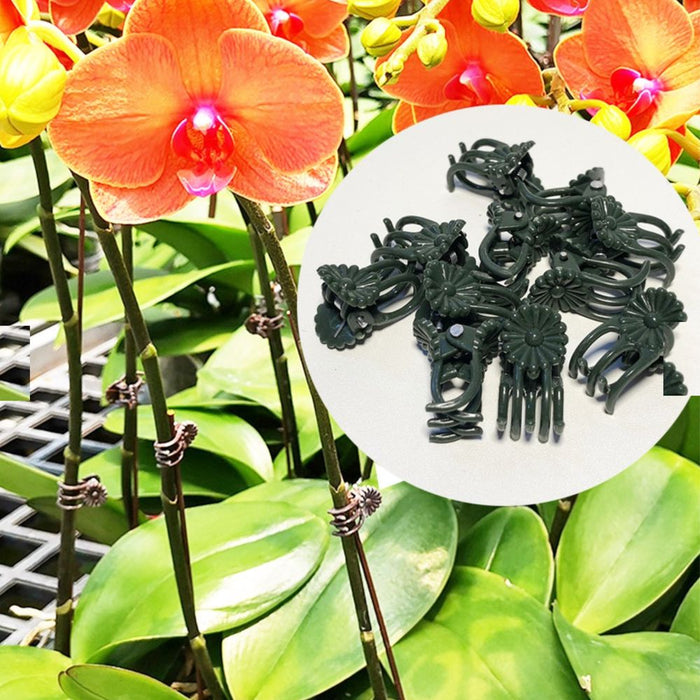 Orchid Clips - Garden Plant Branch Stem Support Clips Jumbo - Set of 100 - Buy Online - Jungle Aquatics