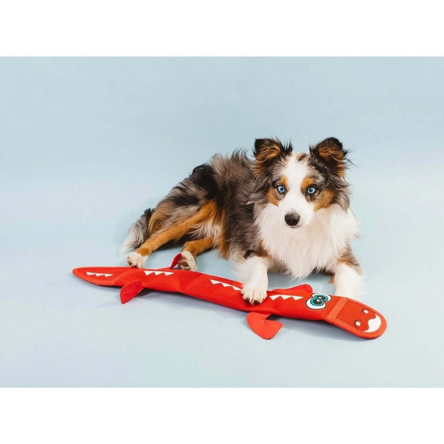 Dog playing with Outward Hound Fire Biterz Dragon Red toy on a light blue background, showcasing durability and fun.