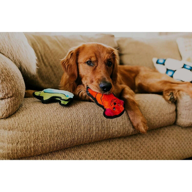 Golden retriever chewing on Outward Hound Invincible Hedgehog and toy on a couch, showcasing pet fun and durability.