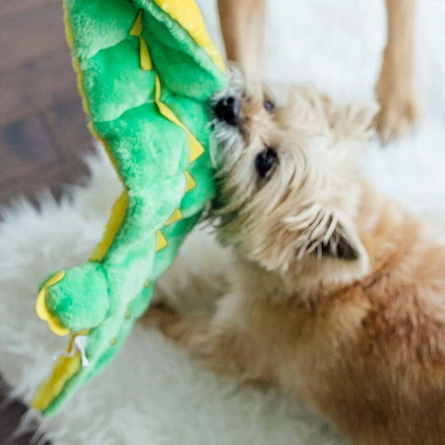 dog playing with Outward Hound Squeaker Matz Gator toy on a fluffy rug, showcasing its vibrant green and yellow design.