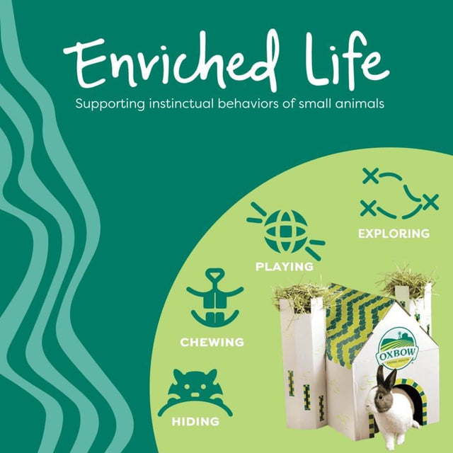 Infographic highlighting Oxbow Enriched Life supporting small animal instincts: exploring, playing, chewing, and hiding.