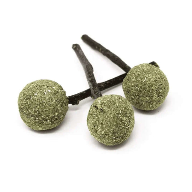 Oxbow Enriched Life Timmy Pops 3 Pack, natural pet chew toys made with Timothy hay and twigs.