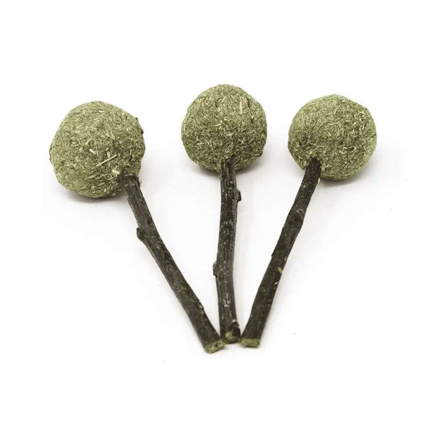 Oxbow Enriched Life Timmy Pops 3 Pack, pet-safe chew toys made from Timothy hay and natural materials.