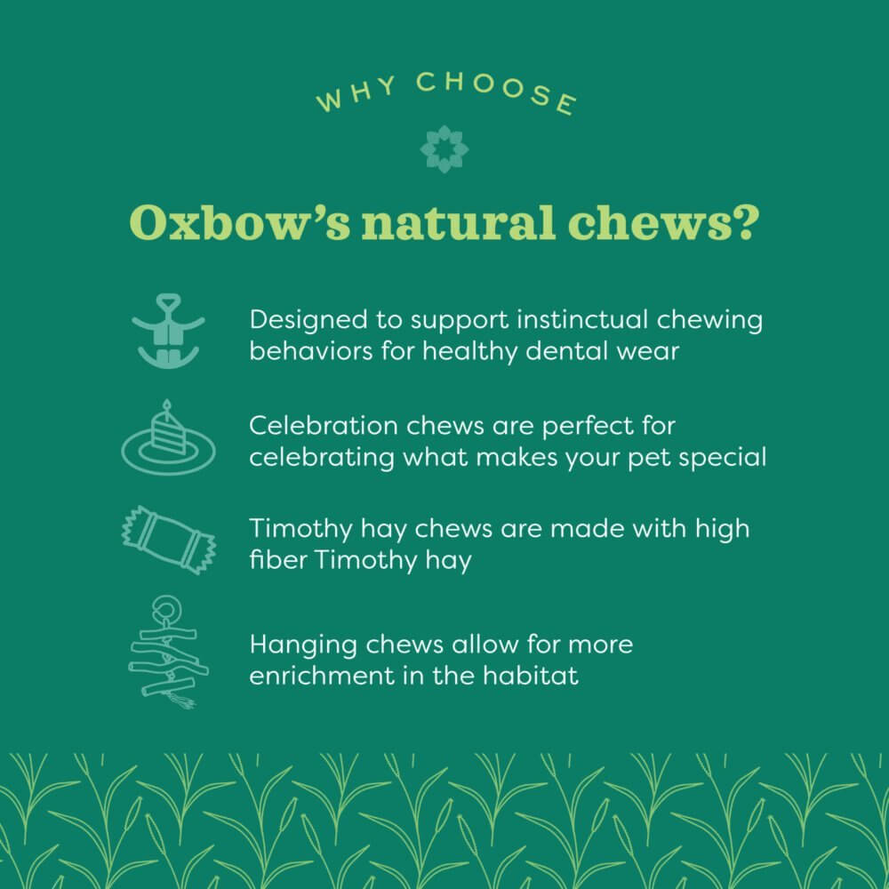 Oxbow's natural chews benefits infographic highlighting dental health and enrichment for small pets.