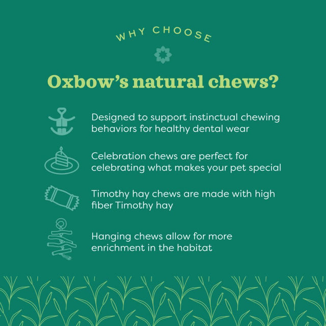 Oxbow's natural chews benefits infographic highlighting dental health and enrichment for small pets.
