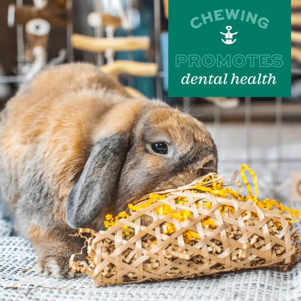 Rabbit chewing on a woven toy promoting dental health and enrichment for small pets.
