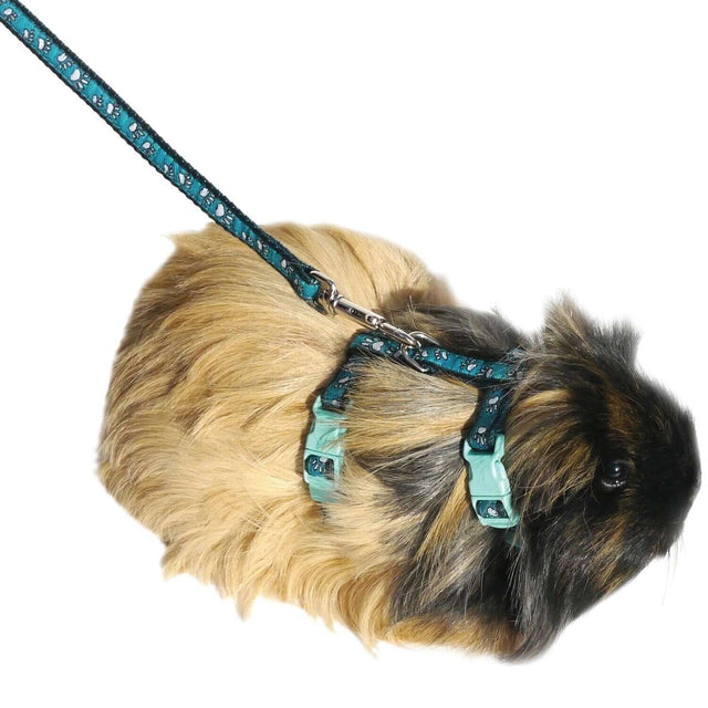 Small animal harness and lead in paw print design on a guinea pig, showcasing comfort and security for outdoor walks.