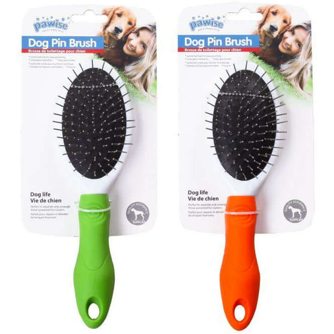 Pawise Dog Pin Brush in green and orange, ideal for grooming medium, long, and curly dog hair.