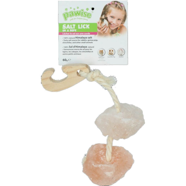 Pawise Himalayan salt lick on a rope for small pets, featuring two salt blocks and a wooden pendant for easy hanging.