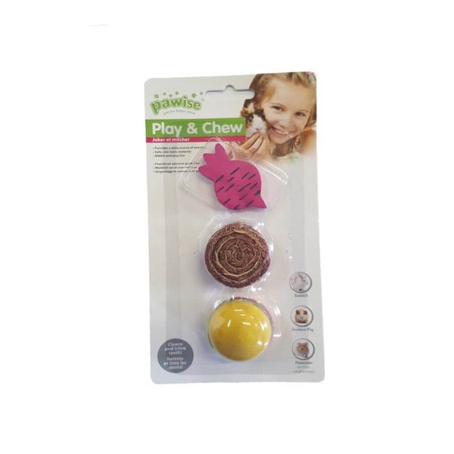 Pawise Small Animal Play & Chew Toy Set featuring wooden and loofah toys for dental care of small rodents.