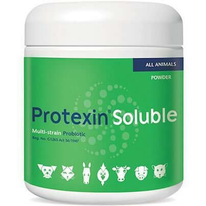 Protexin Soluble 250g probiotic powder for pets, promoting gut health with multi-strain bacteria for dogs and cats.