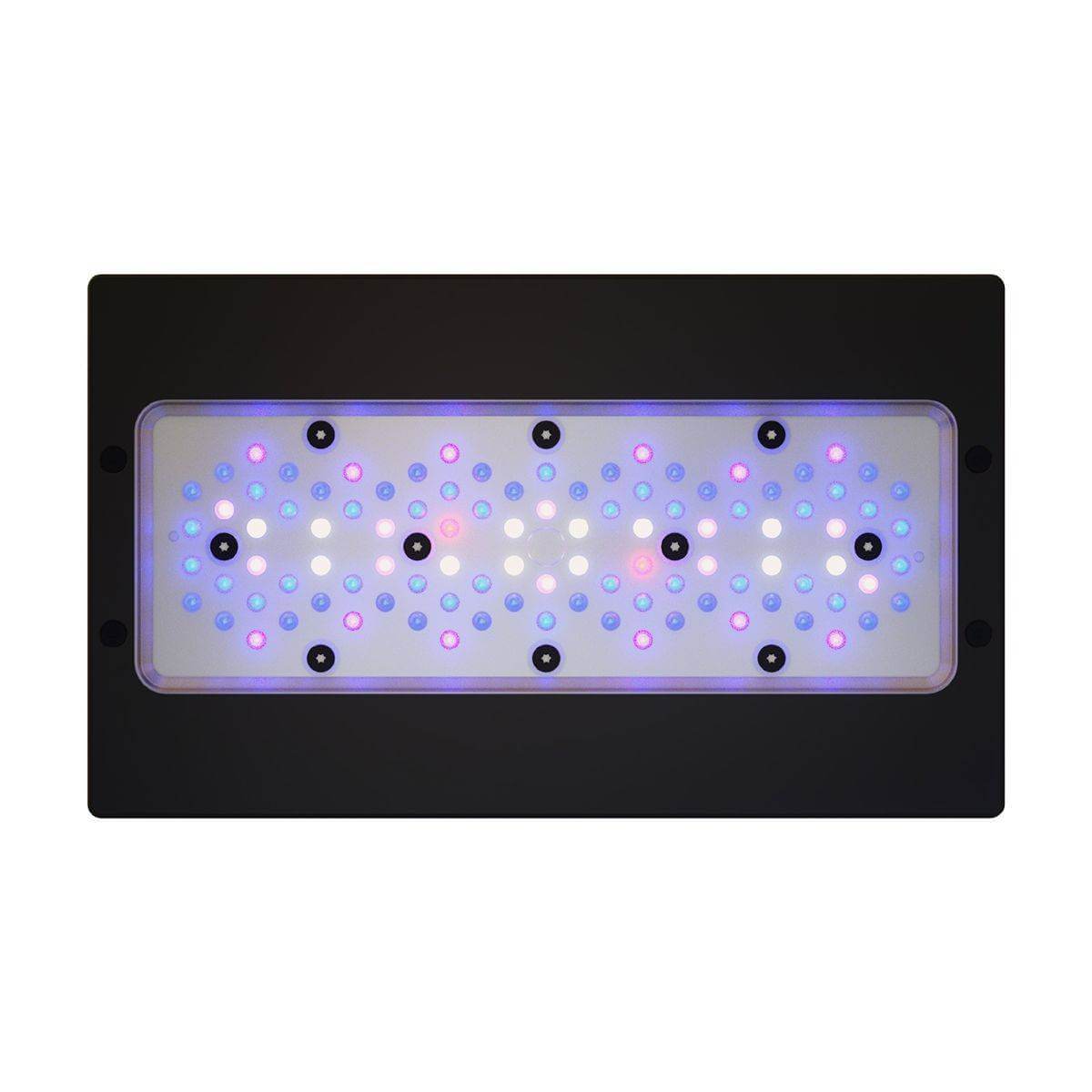 Radion XR30 G6 Blue LED Light Fixture with advanced color spectrum and optical system for optimal performance.