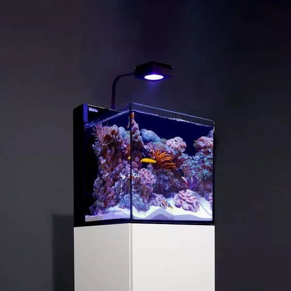 Red Sea Max NANO G2 Cube Reef Aquarium System with colorful coral and fish, illuminated by LED light, stylish design.