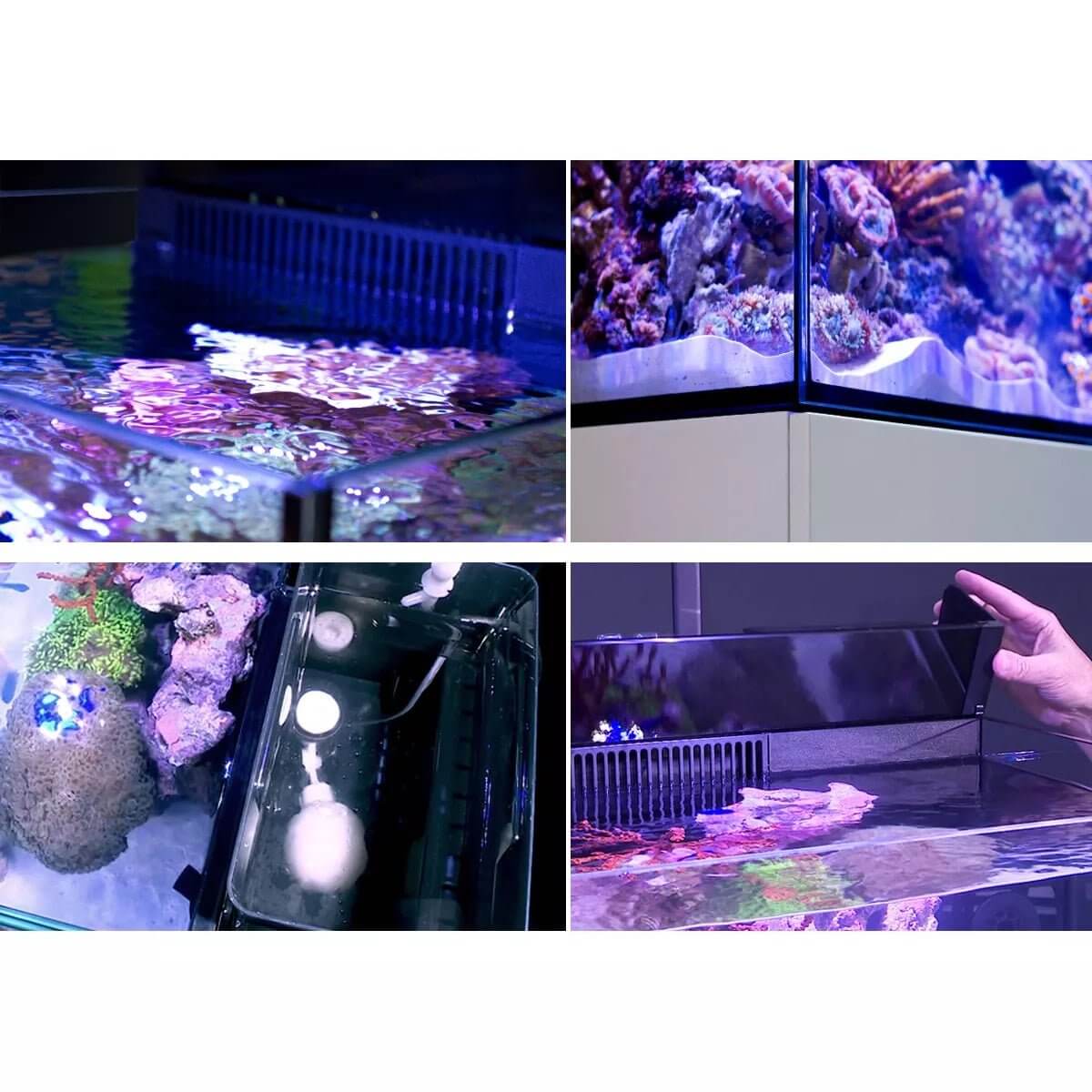 Red Sea Max NANO G2 Cube reef aquarium system showcasing coral views, sump, and LED lighting features.
