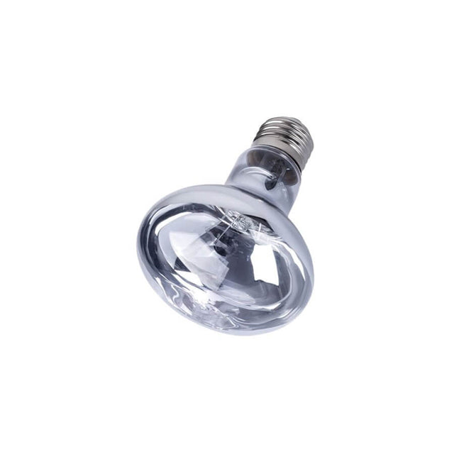 Neodymium daylight basking lamp for reptiles, ideal for terrariums and promoting animal well-being.