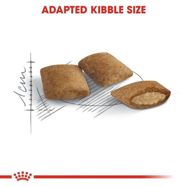 Royal Canin Ageing +12 cat food kibble with adapted size for senior cats' dietary needs.