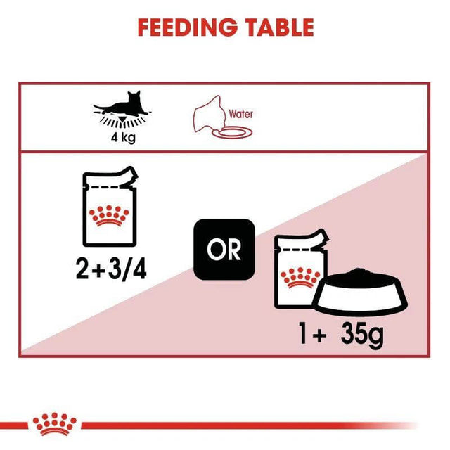 Royal Canin feeding table for adult cats, showing recommended wet food portion sizes and water intake for optimal nutrition.
