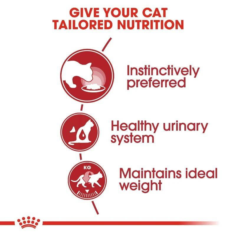 Infographic highlighting tailored nutrition for cats: instinctively preferred food, healthy urinary system, maintains ideal weight.