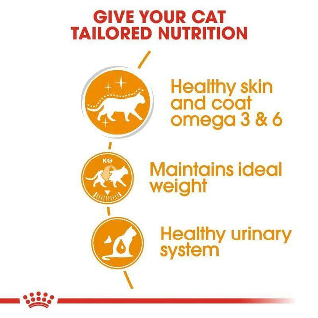 Infographic showing benefits of Royal Canin Cat Hair and Skin: healthy coat, ideal weight, and urinary system support.
