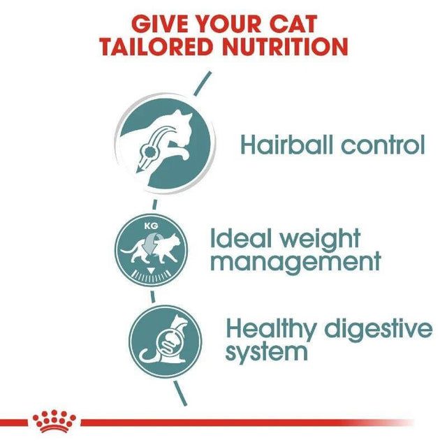 Infographic showing tailored nutrition benefits for cats: hairball control, ideal weight management, and healthy digestive system.
