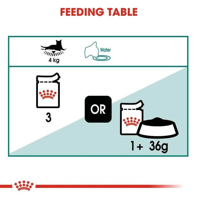 Feeding table for Royal Canin Cat food, showing portion recommendations for a 4 kg cat with wet and dry food options.