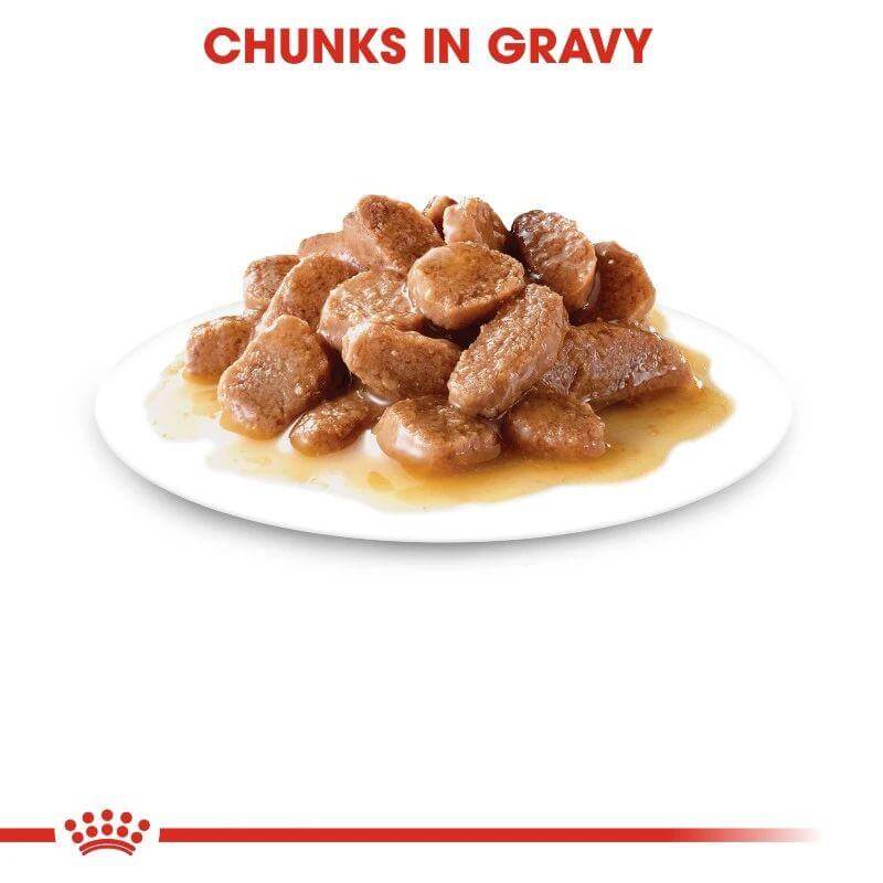 Chunks of Royal Canin Cat Instinctive wet food in gravy on a white plate, ideal for adult cats.