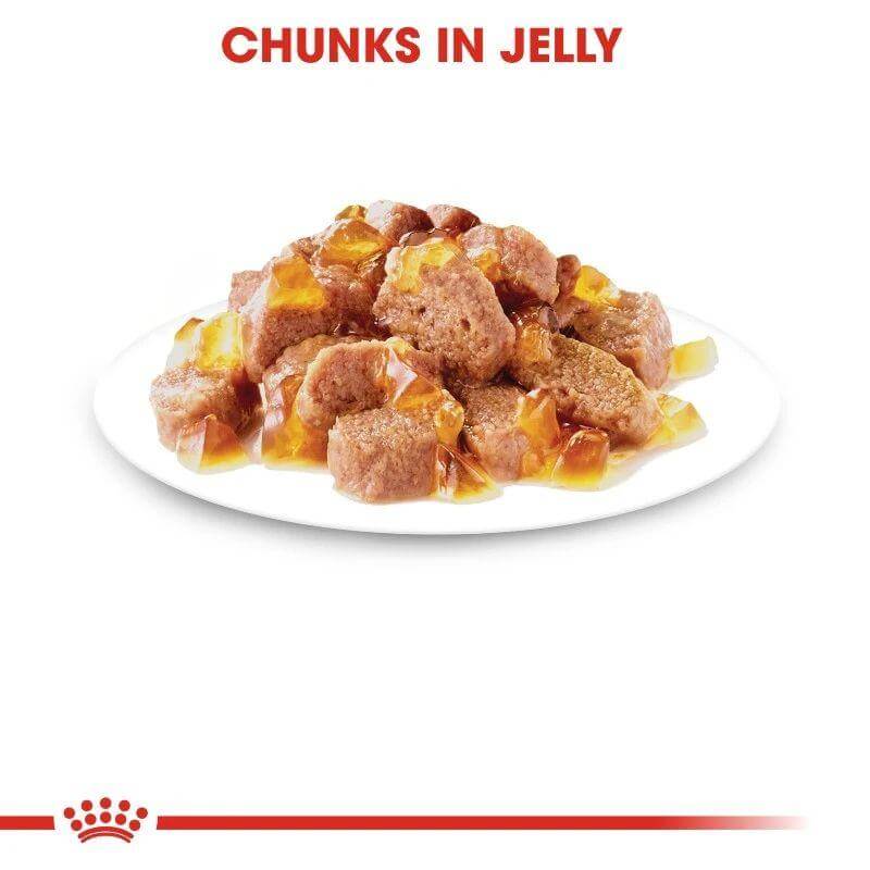 Chunks of Royal Canin Cat Instinctive wet food in jelly on a white plate, perfect for adult cats.