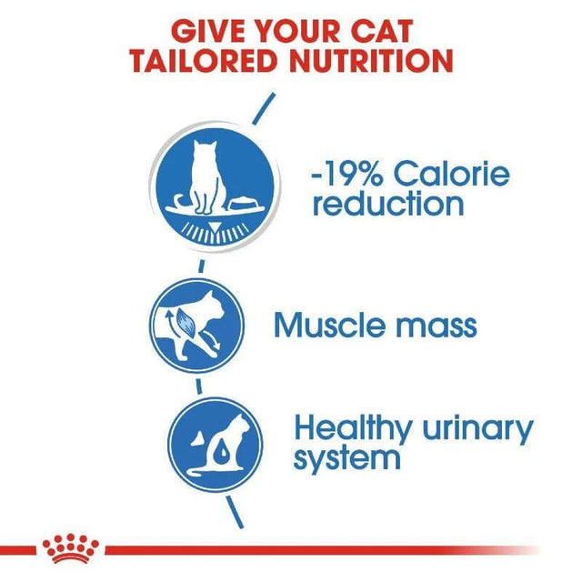 Infographic on tailored nutrition for cats showing calorie reduction, muscle mass, and urinary health benefits.