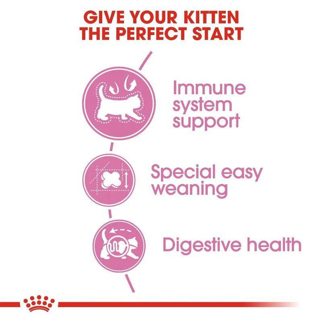 Infographic on kitten nutrition benefits: immune support, easy weaning, and digestive health.
