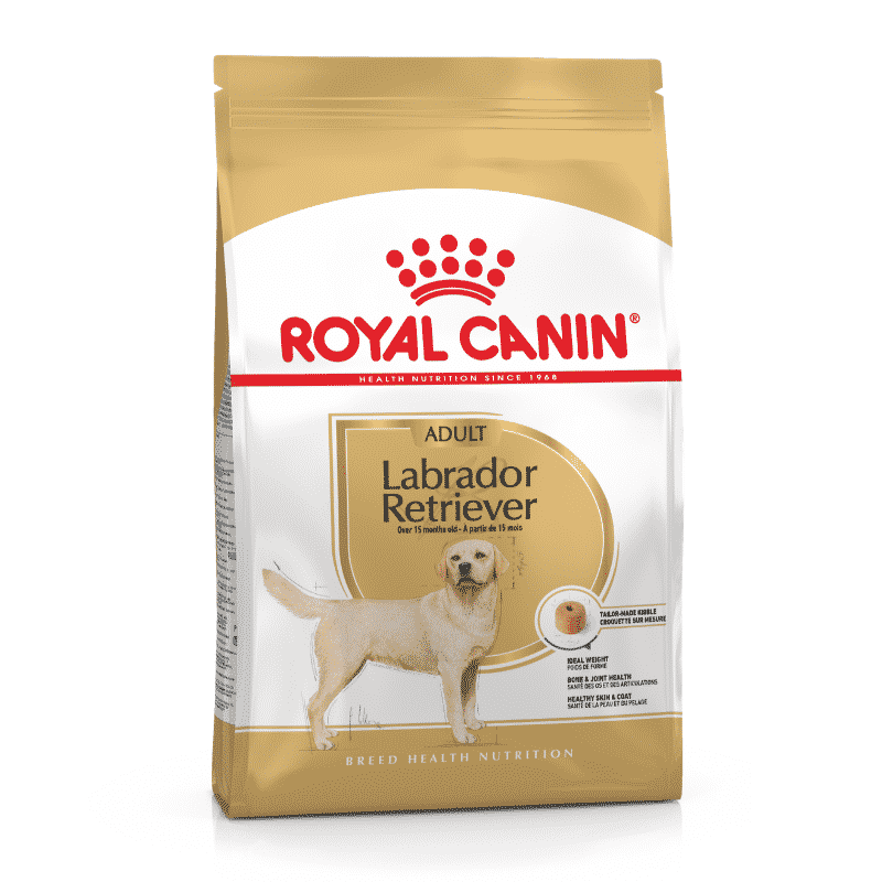 Royal Canin Labrador Retriever Adult Dog Food 12kg packaging for healthy weight management in Labradors over 15 months.