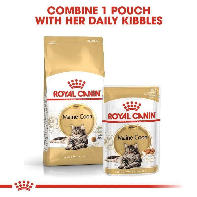 Royal Canin Maine Coon Adult cat food packaging, including dry kibbles and wet pouch for optimal nutrition.