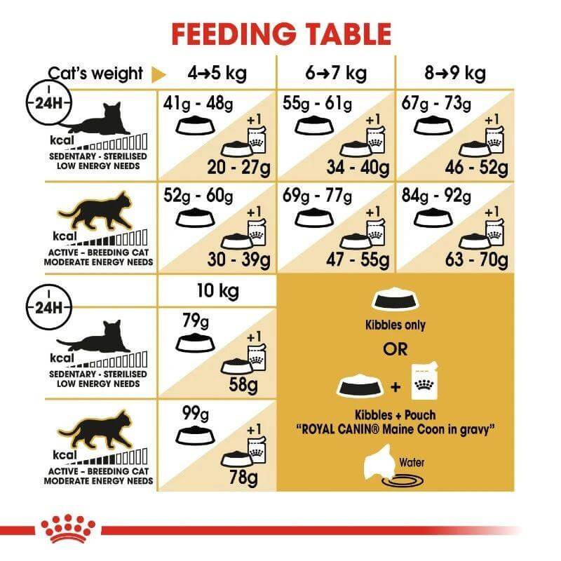 Feeding table for Royal Canin Maine Coon Adult Cat Food, detailing portion sizes based on cat weight and activity level.