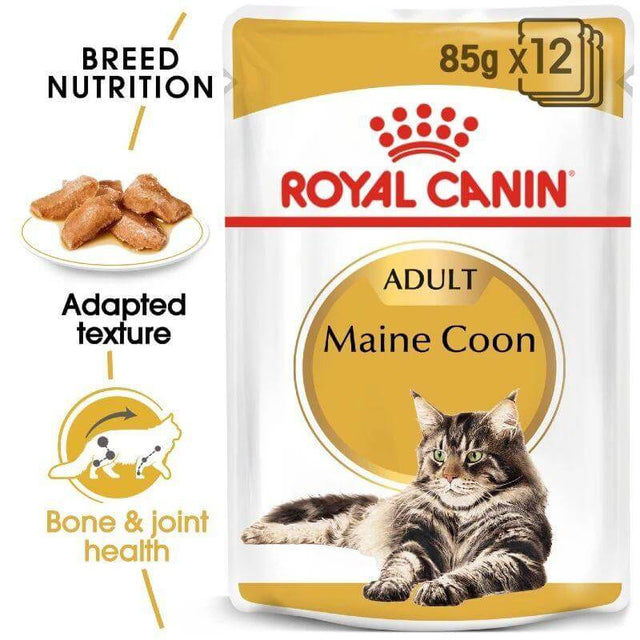 Royal Canin Maine Coon Adult Cat Wet Food Pouch 85g with gravy, designed for breed-specific nutrition and joint health.