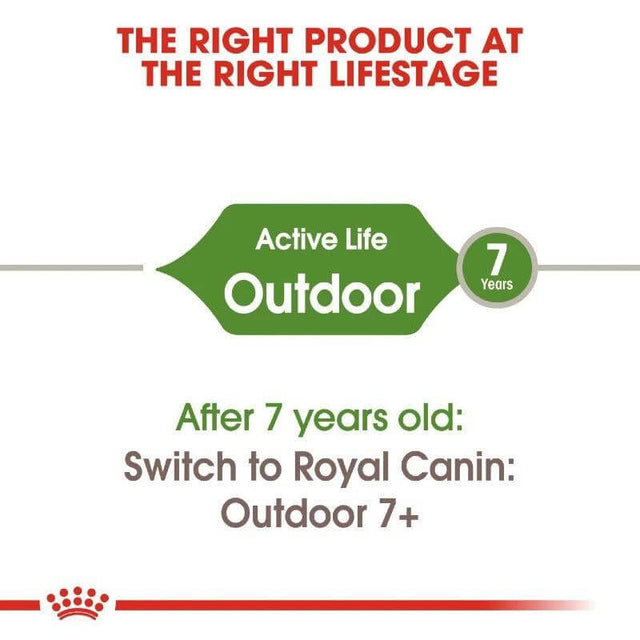 Royal Canin Outdoor cat food guide for active cats over 7 years old, promoting a healthy lifestyle and diet transition.