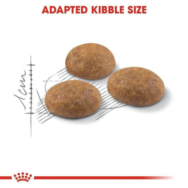 Royal Canin Outdoor Cat Food with adapted kibble size for optimal chewing and digestion for active cats.