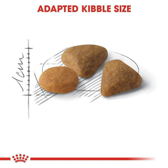Royal Canin Savour Exigent adapted kibble size, featuring three uniquely shaped kibbles for fussy cats.