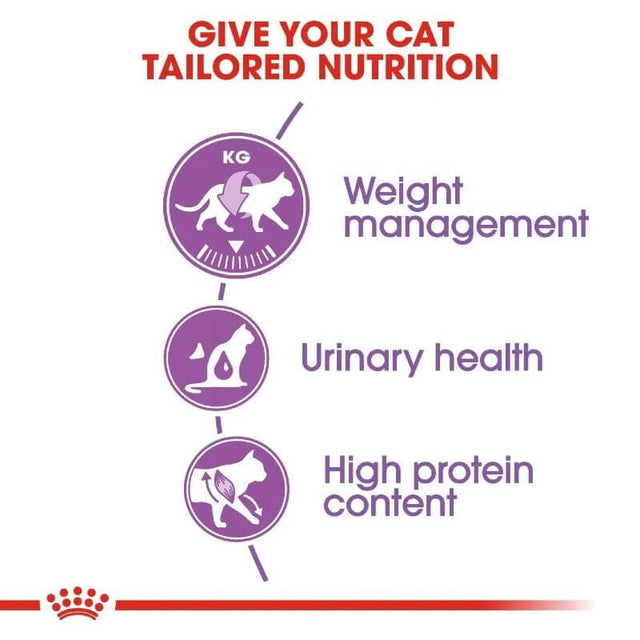 Infographic on tailored nutrition for cats highlighting weight management, urinary health, and high protein content.