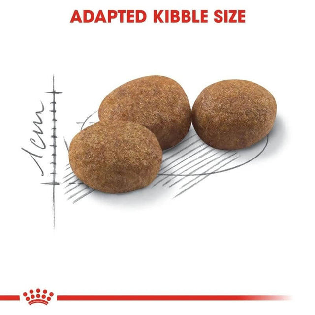 Royal Canin Sterilised 37 cat food kibble showcasing adapted size for easy chewing and digestion.