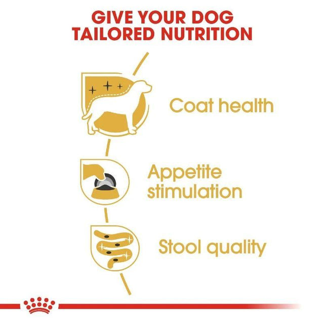 Infographic showing benefits of tailored nutrition for dogs: coat health, appetite stimulation, and stool quality.