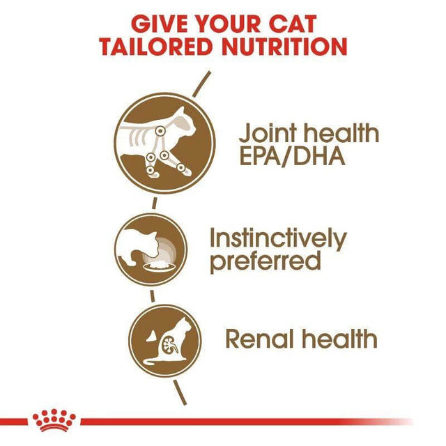 Infographic on tailored nutrition for cats highlighting joint health, instinctive preference, and renal health.