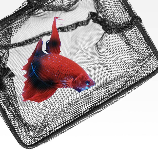Seachem fish net with vibrant red fish inside, perfect for freshwater and saltwater aquariums. Quality net for easy storage.