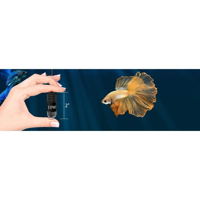 Hand holding a 10W mini aquarium heater next to a Siamese Fighter Betta fish in a vibrant underwater scene.