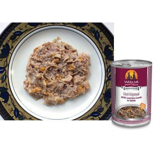 Weruva Hot Dayam Wet Dog Food with Lamb in Gelée served on a plate next to the product can.