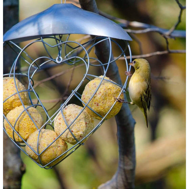 Heart-shaped suet feeder filled with bird snack balls, with a small bird perched nearby in a garden setting.