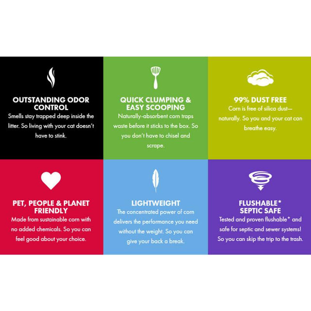 Features of World's Best Multiple Cat Clumping Cat Litter highlighting odor control, clumping, dust-free, and eco-friendliness.